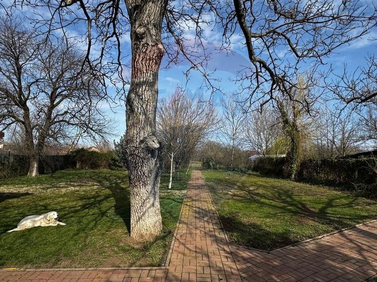 Casa de vanzare cu livada si piscina - Giurgiu - 9