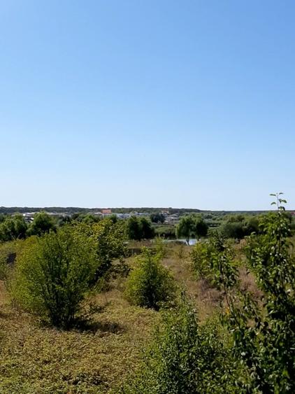 Teren spectaculos cu deschidere directă la lac – Corbeanca - 4