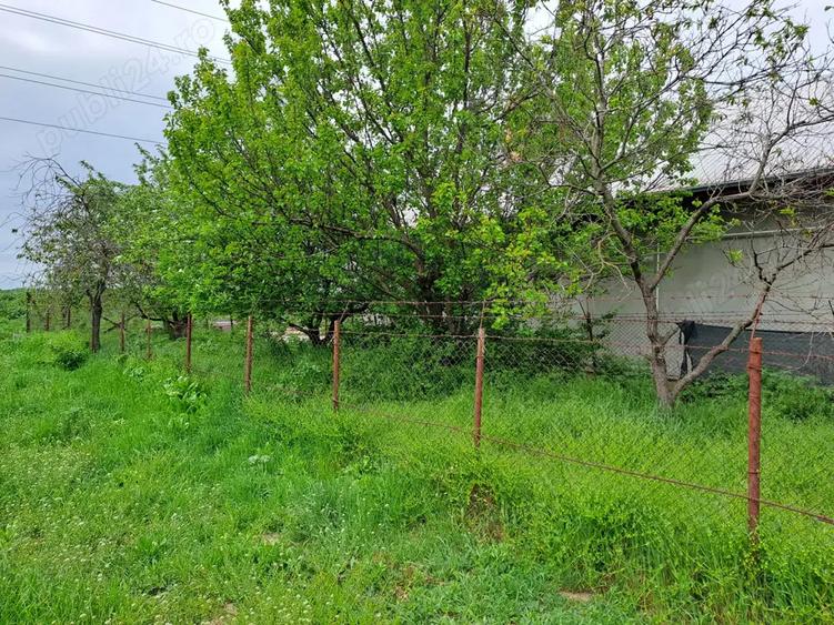 Imobil +teren de vanzare - 5