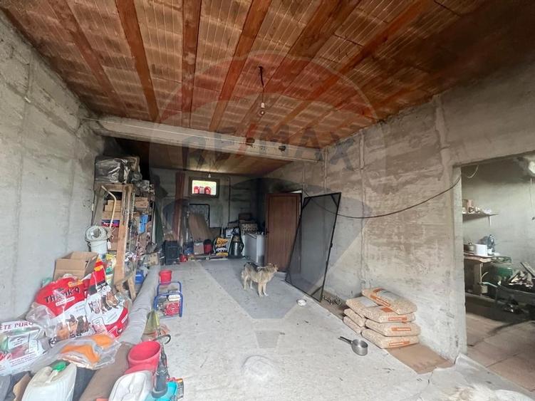 Casa - plantatie aluni  41300mp - 15