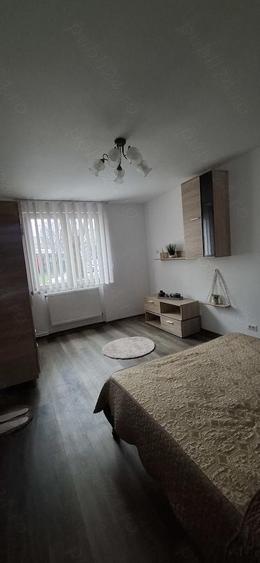 Inchiriez apartament la parter ,str Ecaterina Teodoroiu recent renovat - 4