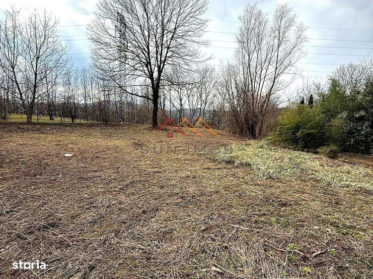 Teren intravilan 3171 mp | Cornu | 29 /mp - 3