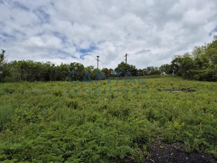 Teren intravilan, 1663 mp, central Dezmir - 7