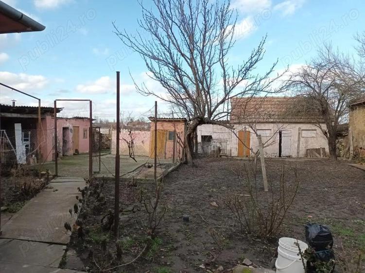 Inchiriez casa in Jimbolia - 1