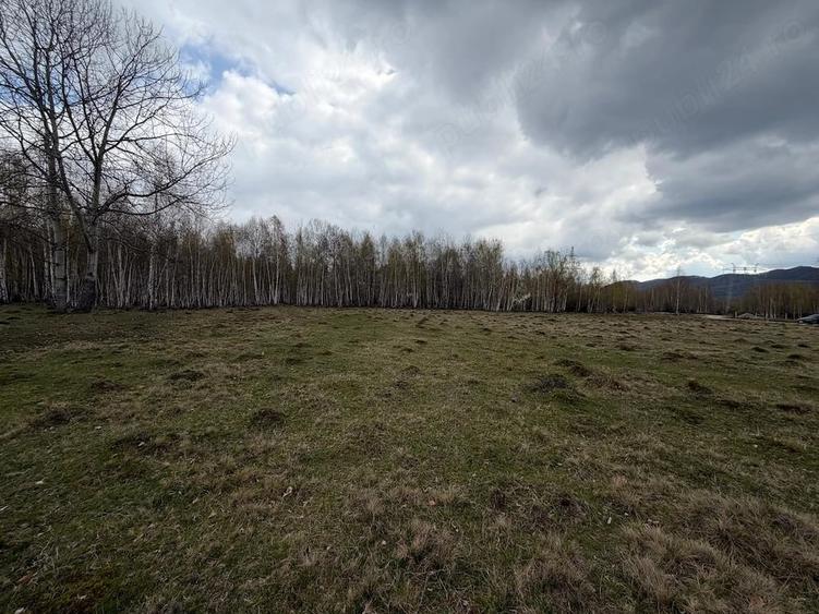 Teren de 15000 mp, în Izvoru
