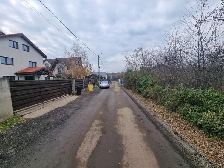 Vand 2500 mp in Branesti, strada Brazi in spatele lizierei, tpate utilitatile, - 1