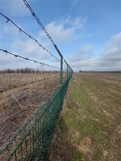 Teren intravilan de vanzare 28094 mp pentru investitii Bizighesti - 6