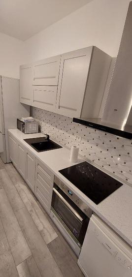 Casa singur curte langa parcul Herastrau - 7