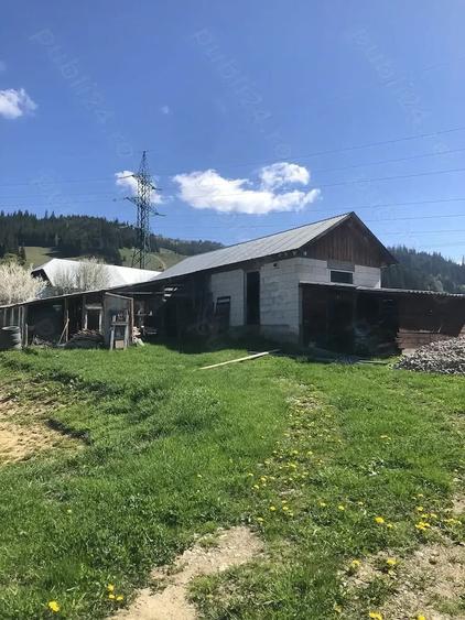 Teren intravilan si Fundatie casa - 4