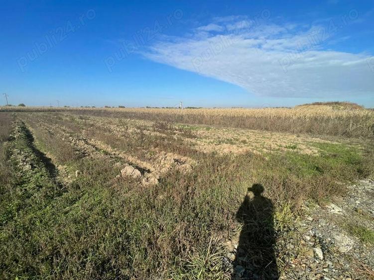 Vand teren intravilan arabil - 3