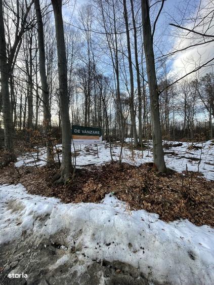 Teren deosebit 30 arii | Zona montana exclusivista | Aproape de centru - 2