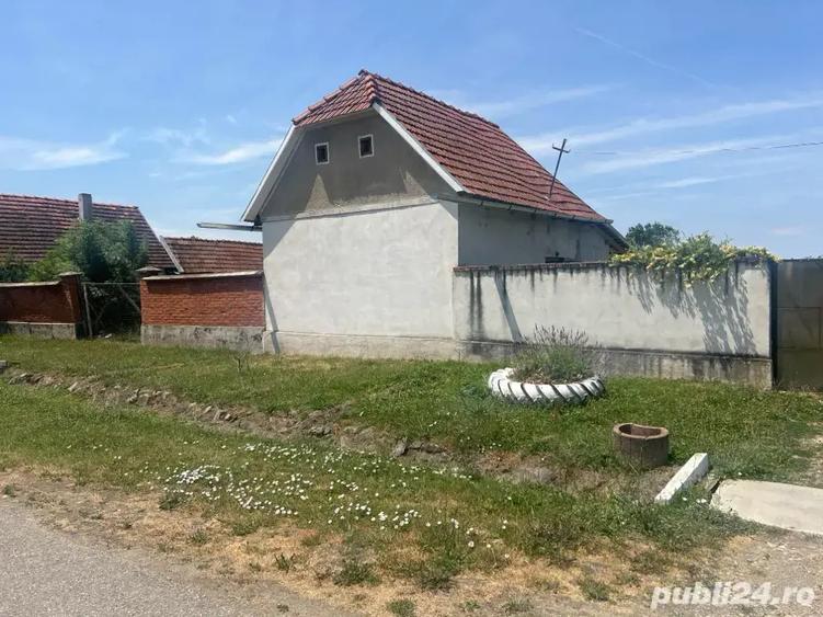 vand casa la tara - 10