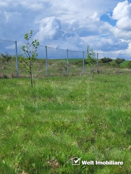 Teren extravilan 2000 mp, imprejmuit, panorama superba – Salicea (Cluj) - 9