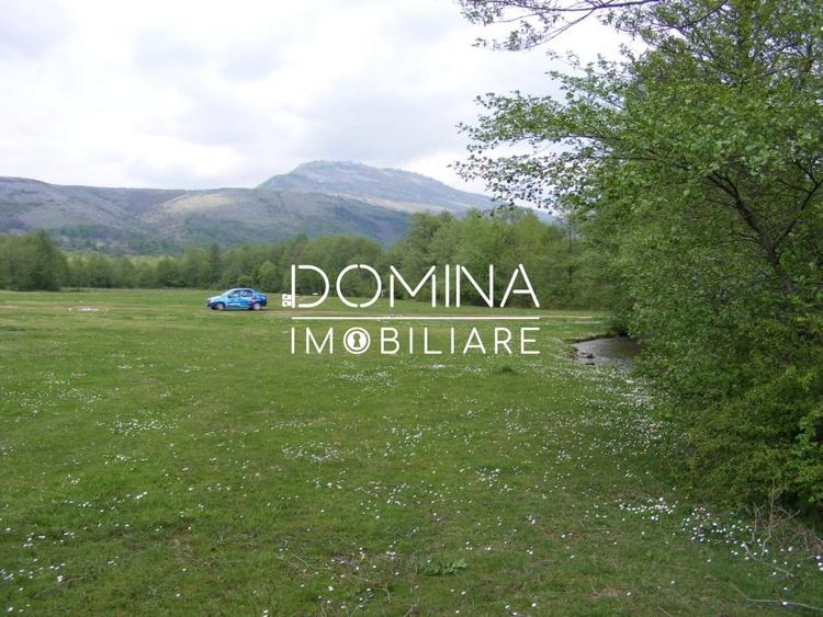 Inchiriere loturi de teren in Comuna Runcu – sat Sanatesti - 5