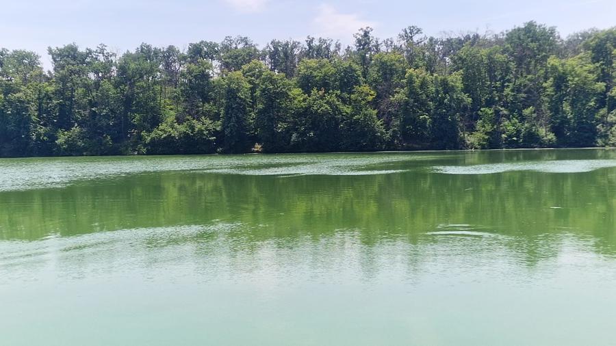 Teren 2110 mp de vanzare  – Brănești, Ilfov, locație unică lângă lac și pădure - 2