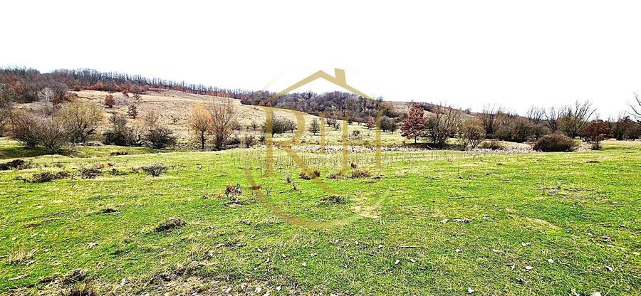 Terenuri extravilane de vânzare – Vizma & Crivobara, comuna Secaș, jud. Timiș - 14