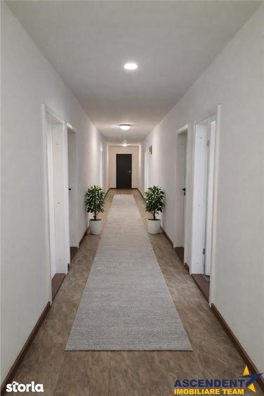 Hala industriala versatila,spatii cazare, platforma betonata,Halchiu,B - 3