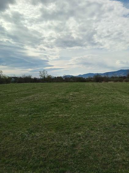 Teren de vinzare vicovu de sus 350 euro - 2