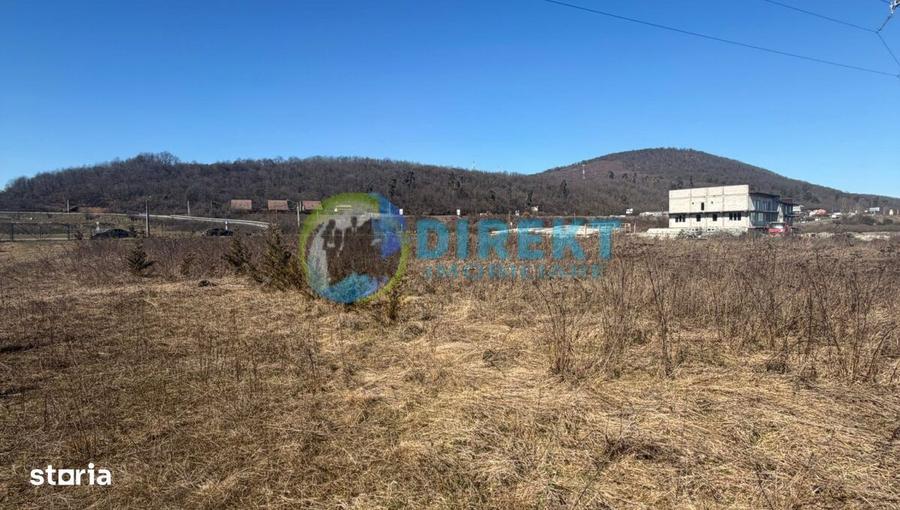 Teren intravilan de vanzare zona industriala Sara?el, jud B-N - 8