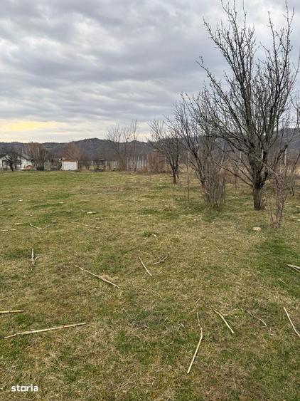 Brebu - teren intravilan 5200mp parcelabil - 25 Euro/mp - 2