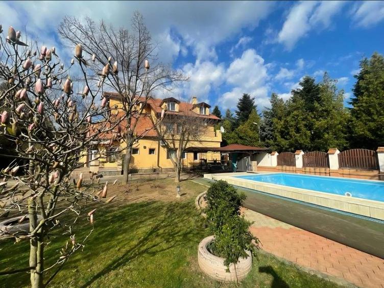 Iancu Nicolae:Vila individuala impresionanta, piscina proprie si teren de 1500 ! - 1