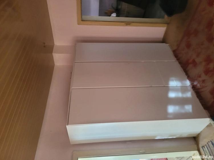 vand casa batraneasca in Sascut-sat - 5