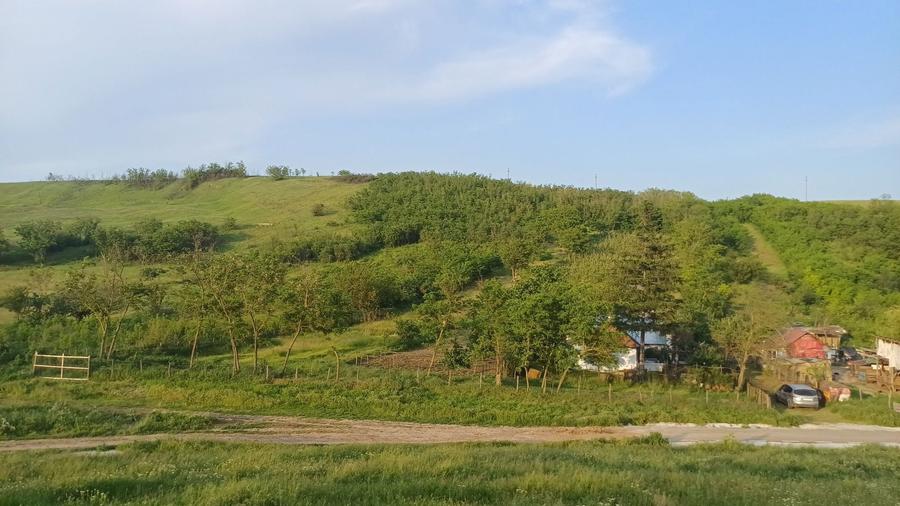 Casa cu teren 1 hectar in sat Roscani, la 40 km de Iasi. - 6