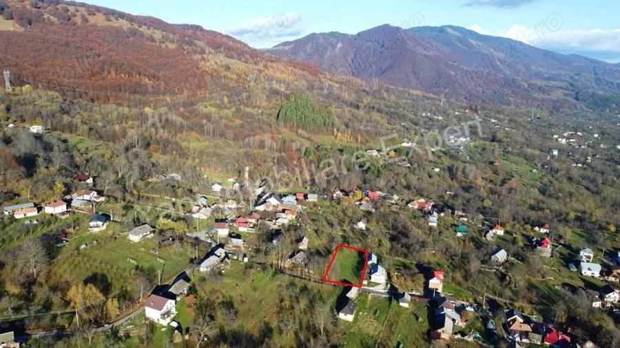 Teren de vanzare in comuna Arefu, jude? Arge?, in apropiere de Transfagara?an. - 11