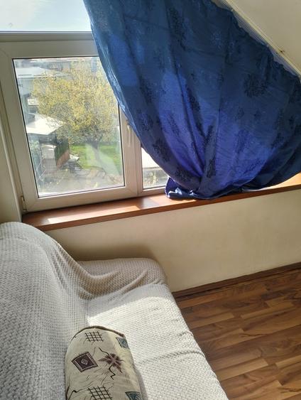 Titan, Nicolae Grigorescu - 10