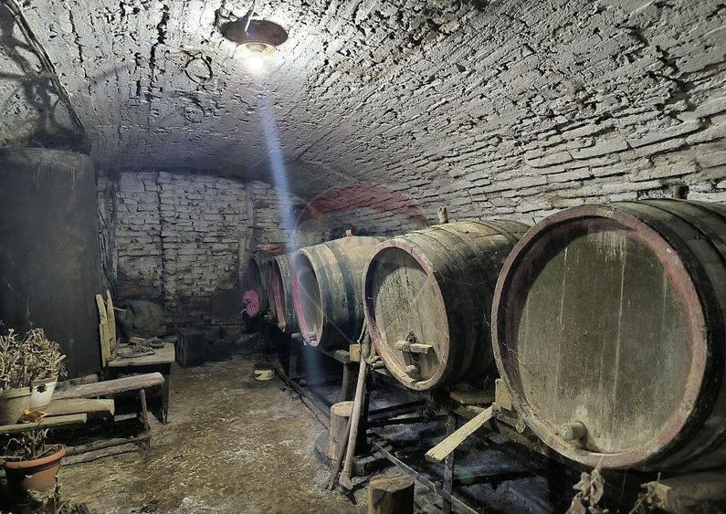 Casa 3 camere si 1400 mp teren in Brateiu - jud. Sibiu - 9