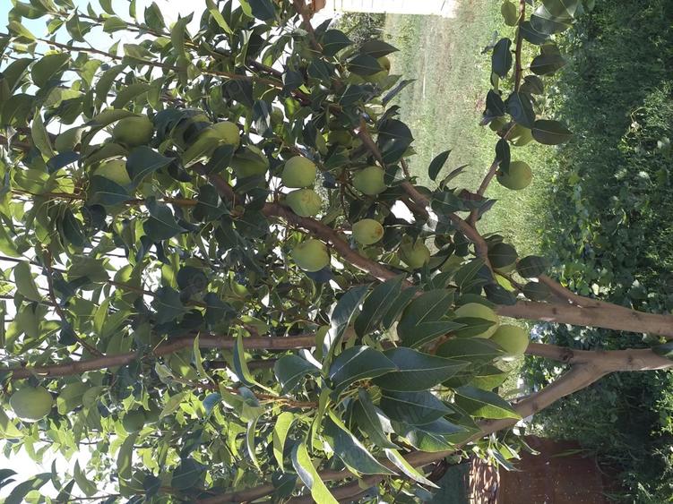 Vand casa la ?ara - 1