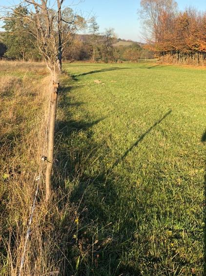 Teren intravilan Tocile Sadu jud. Sibiu Priveliste superba - 5