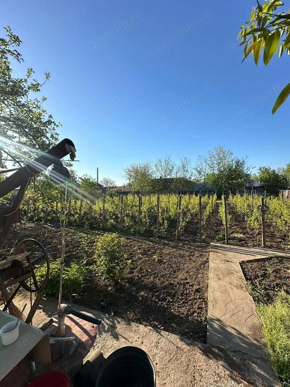 Direct proprietar: Casa demolabila + teren 1167 mp - 3