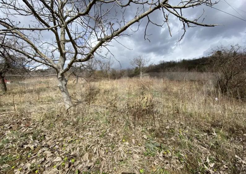 Teren intravilan in suprafata de 2000 mp, zona Episcopiei - 1