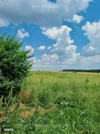 Loturi de Teren in Vadul Ani, Ilfov A2 - 5