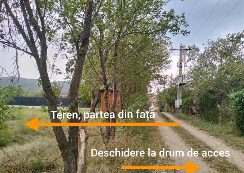 Oportunitate de investitie, teren intravilan, 6018 mp, Ungur - 7