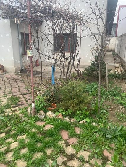 Vanzare  Casa  Pipera - 2