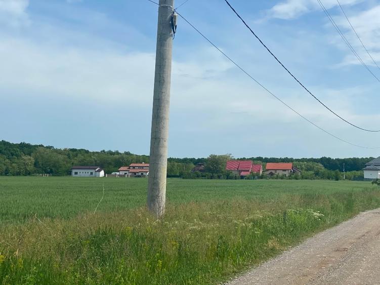 TereCiofliceni 5690 mp.Deschidere de 50m. - 5