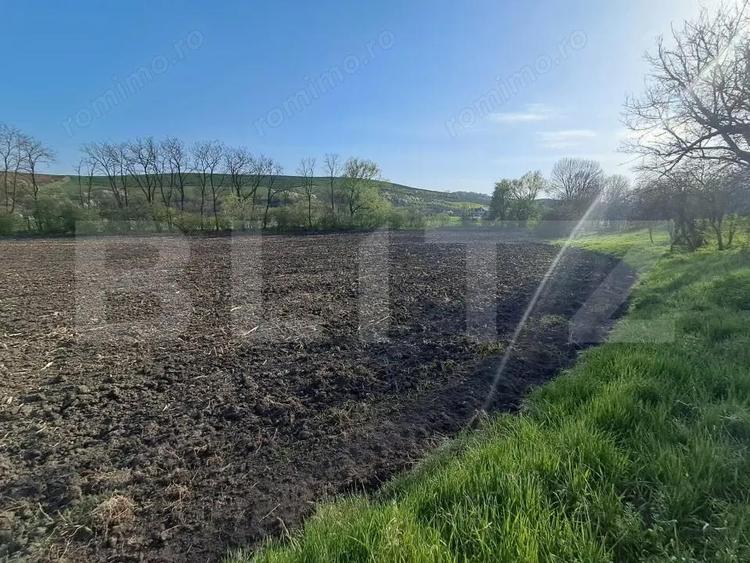 Casa de vanzare la ?ara Sat Nandra, Comuna Bichi?, Jude? Mure? - 9