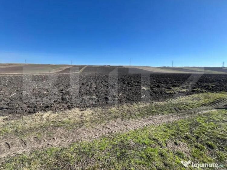 Teren de 26000mp cu poten?ial pentru investi?ii in Bon?i - 1