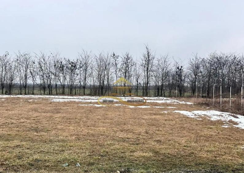 Teren de vanzare Siretu Saucesti Bacau - 1