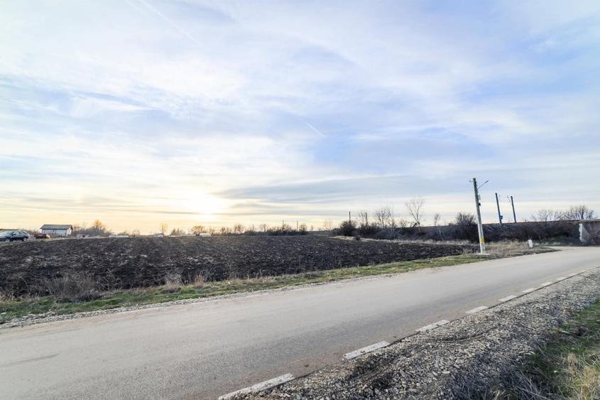 Domnesti, Salciei, Haltei, Ciocarliei, teren 6000 mp, drum asfaltat cu utilitati - 6