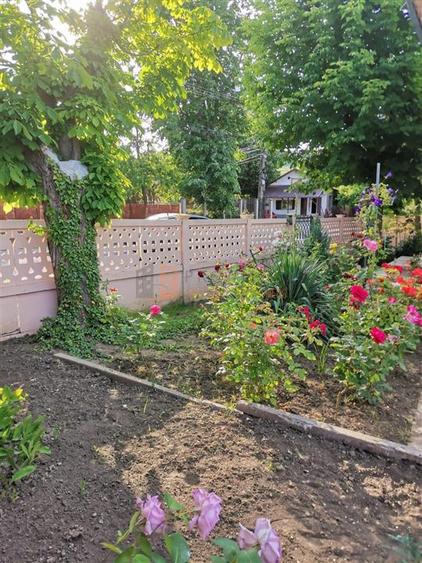 Casa tip parter zona Izvorul Dulce com. Merei - 3