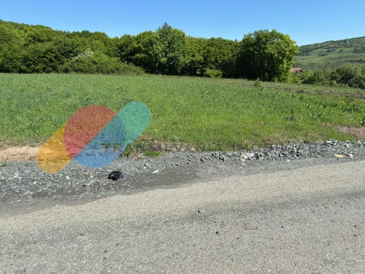 Teren Extravilan de 2.900 mp la Limita Intravilanului – Popești, Cluj - 3