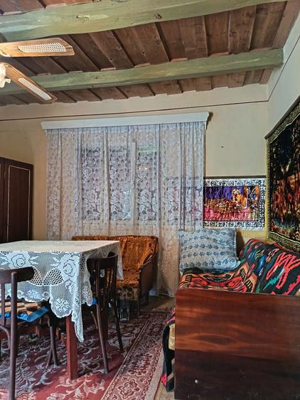 Casa de vacanta la marginea satului Susag Refugiu linistit la tara, teren generos si potential de extindere - 2