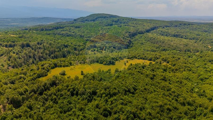 COMISION 0% Teren Grid/Inima Naturii/ Oportunitate de investitie - 11