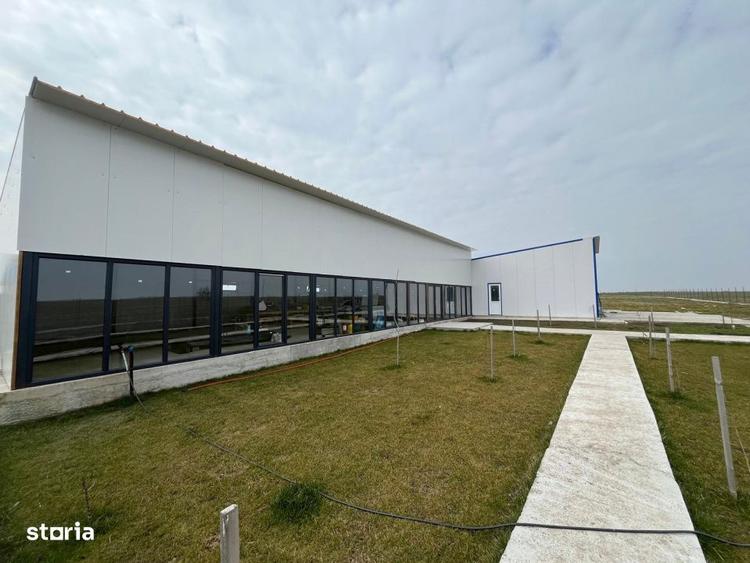 Teren intravilan, 8400 mp, zona Exterior Est - 1