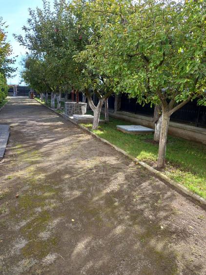 Vanzare casa + anexa + curte foarte spa?ioasa (2550 mp) - 9