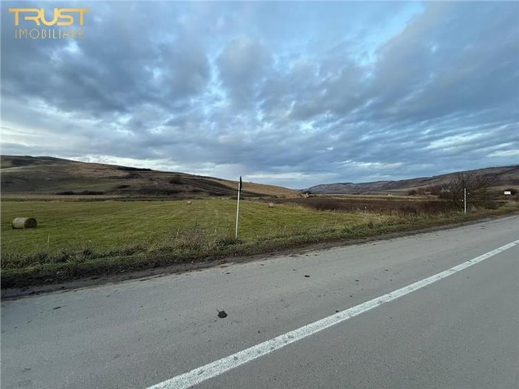 Teren Extravilan I 6000 Mp I Acces la drum | Cojocna - 4