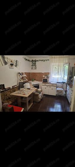 Apartament 2 camere Sagului de vanzare - 9